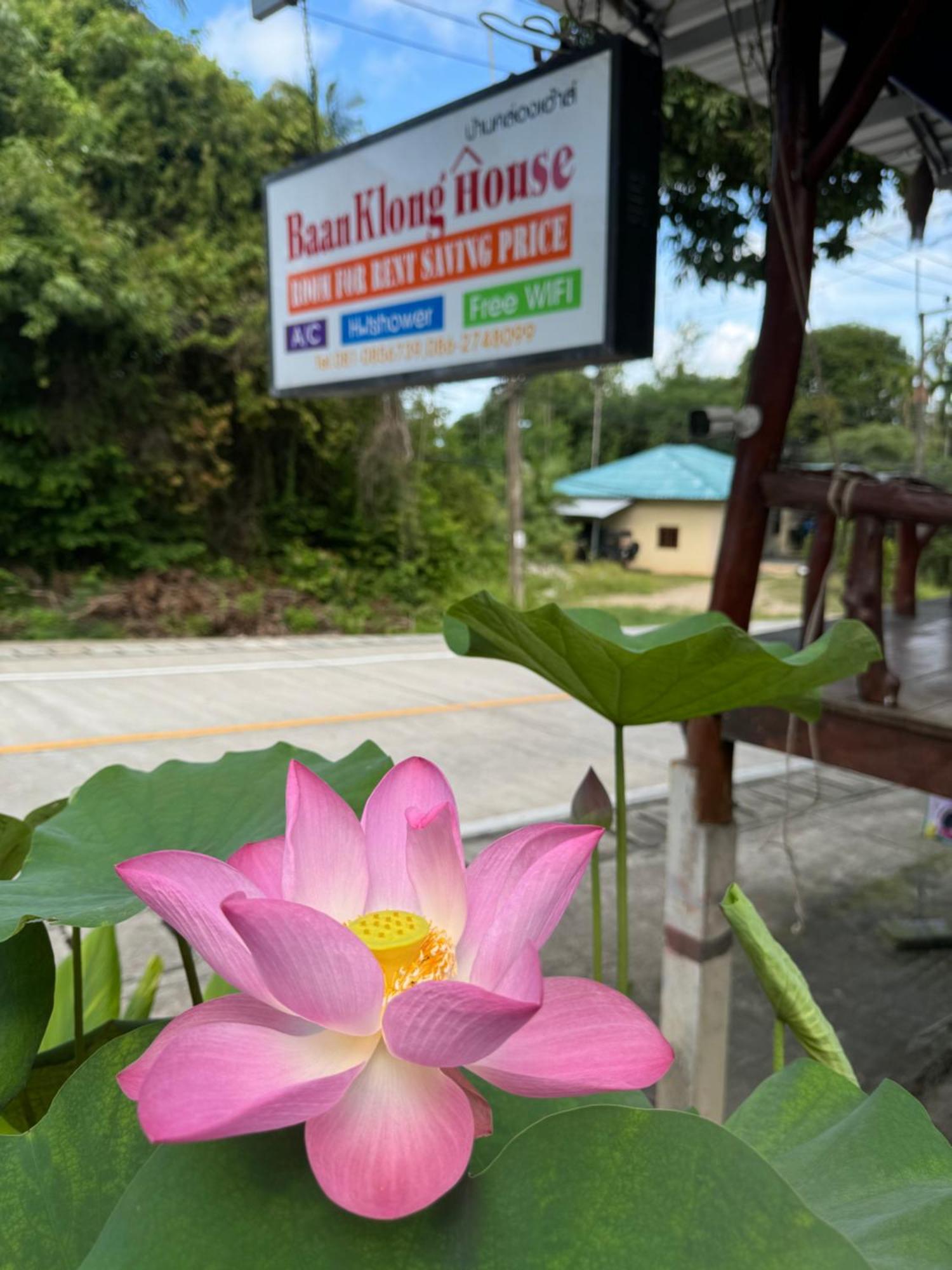 מלון באן קאי Baan Klong House מראה חיצוני תמונה